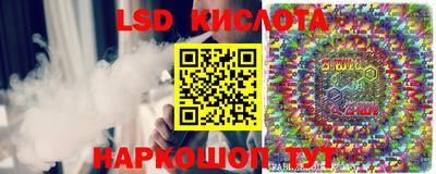 прущие крисы Камышлов