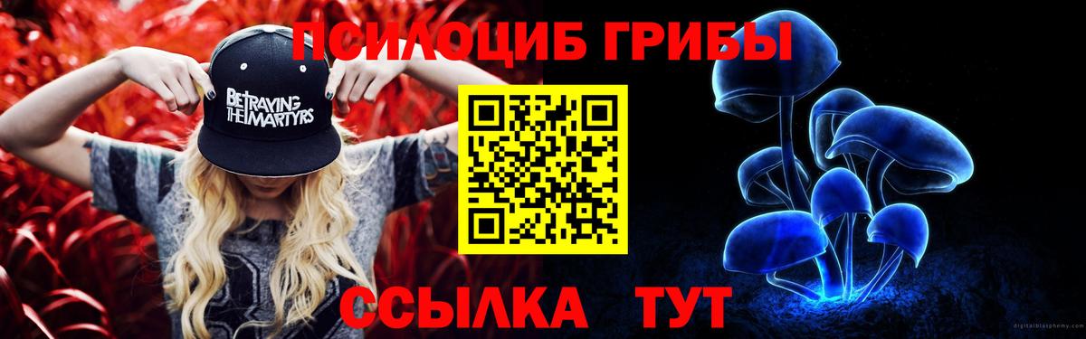 Галлюциногенные грибы мухоморы  Галлюциногенные грибы прущие грибы  Вход с VPN  Корсаков 